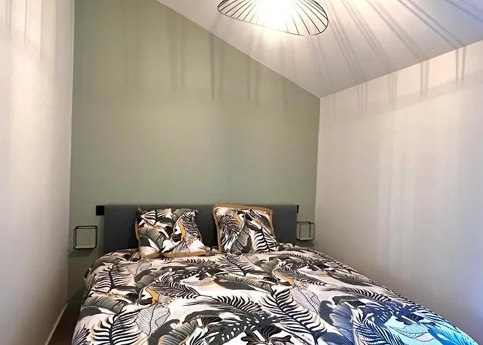 Clermont-fd Jaude N2 Appartement Clermont-Ferrand