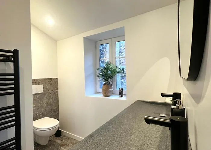 Clermont-fd Jaude N2 Appartement